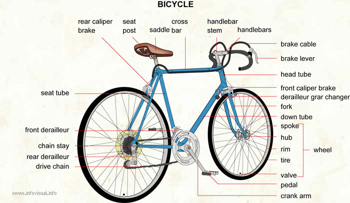 Bicycle  (Visual Dictionary)